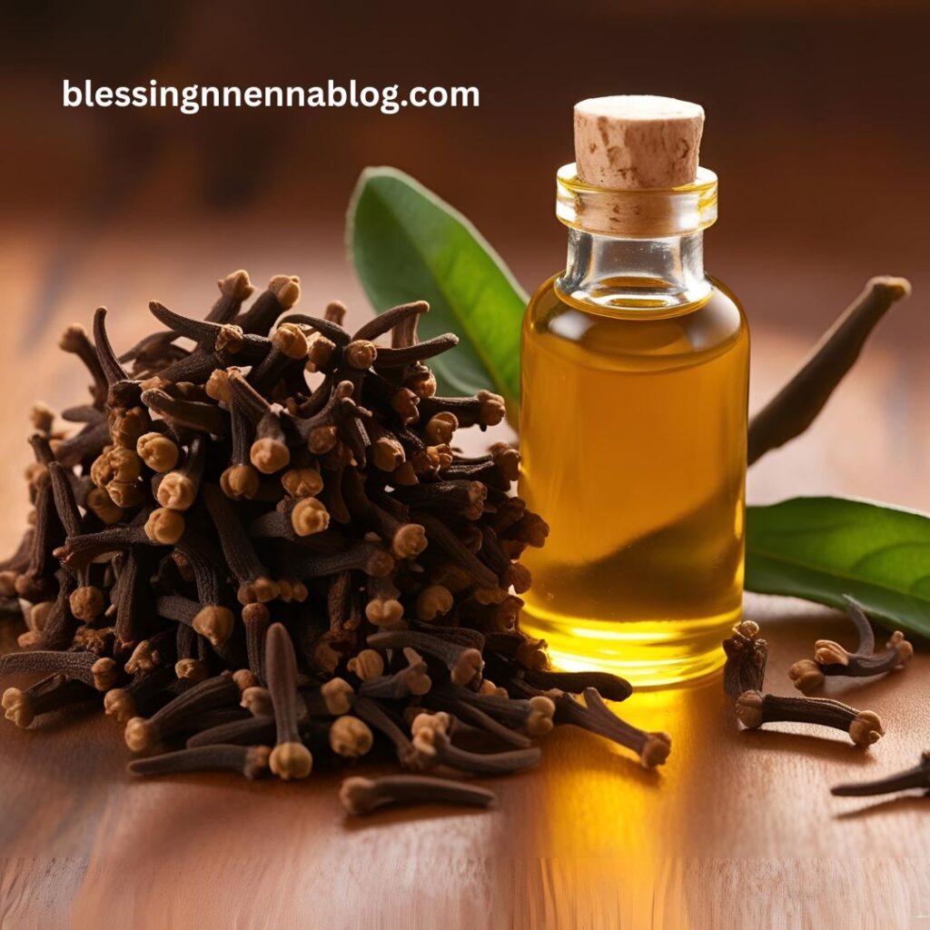 Clove buds and clove oil used in traditional medicine
