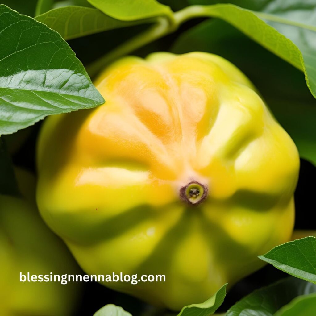 Health benefits of pawpaw